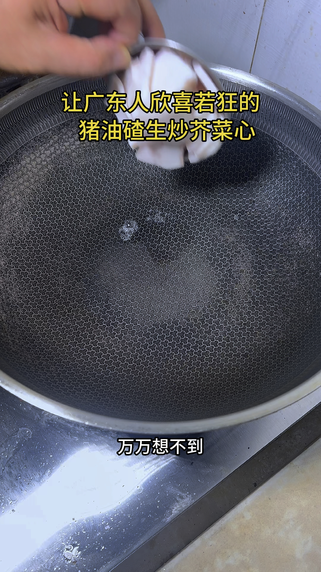你永远无法理解广东人对生炒菜心的热爱程度