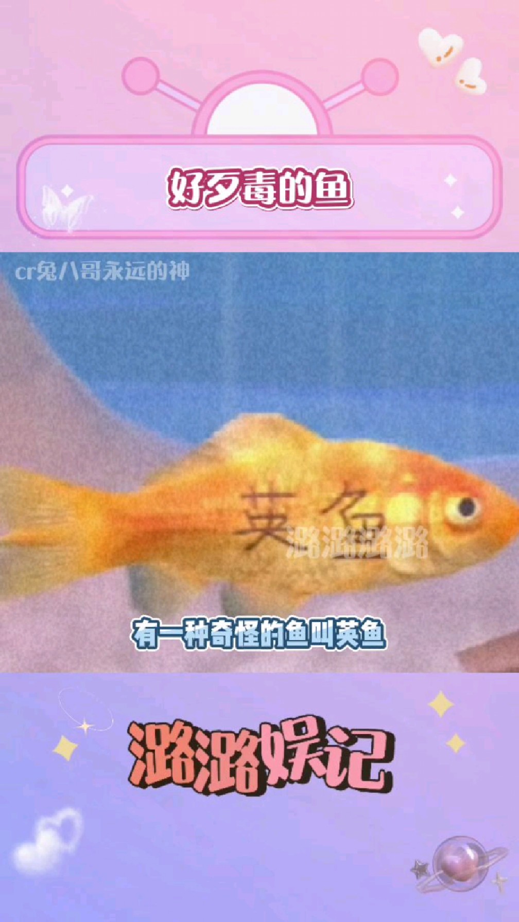 好歹毒的鱼!感觉知识用一种卑鄙的方式钻进了我的脑子里