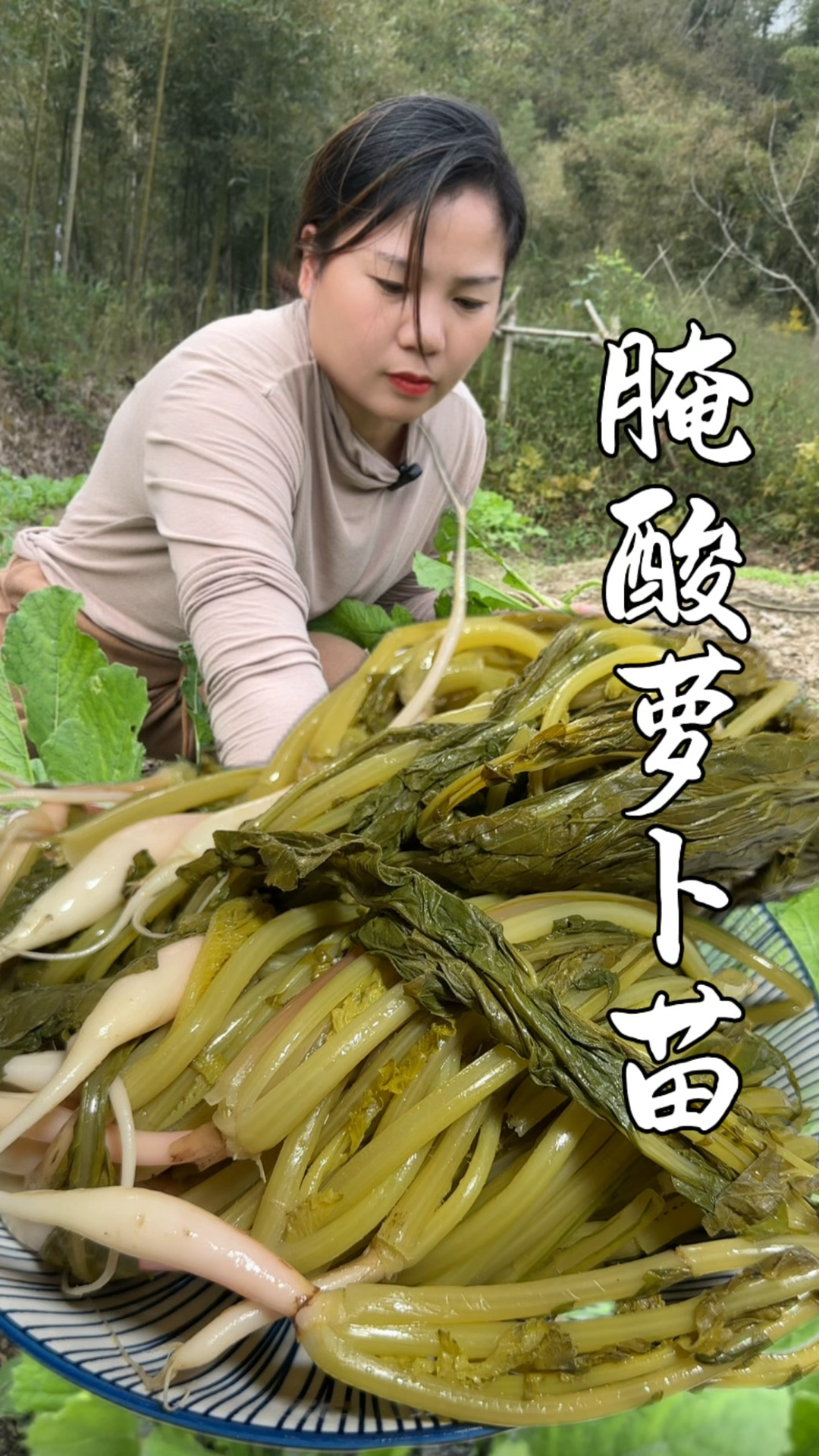 地里萝卜苗长的太密了,很多人拔掉都扔了,其实做成酸菜开胃下饭