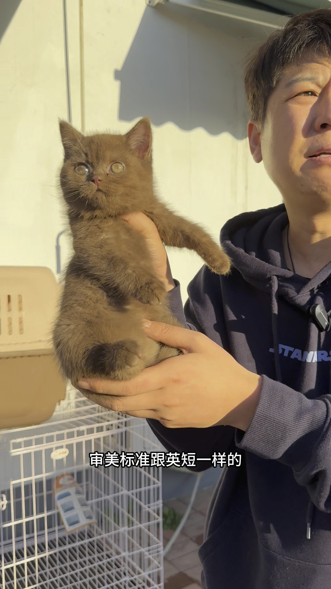 猫贩子第一次见的猫