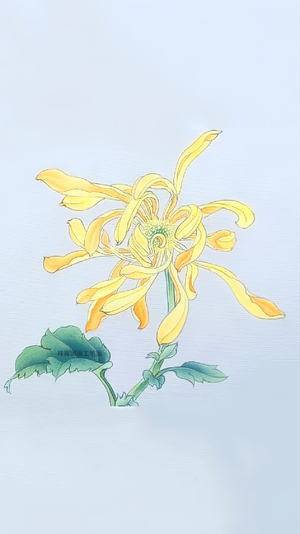 国画菊花工笔画黄菊花画法,跟着教程学画画,教你纯手绘工笔画