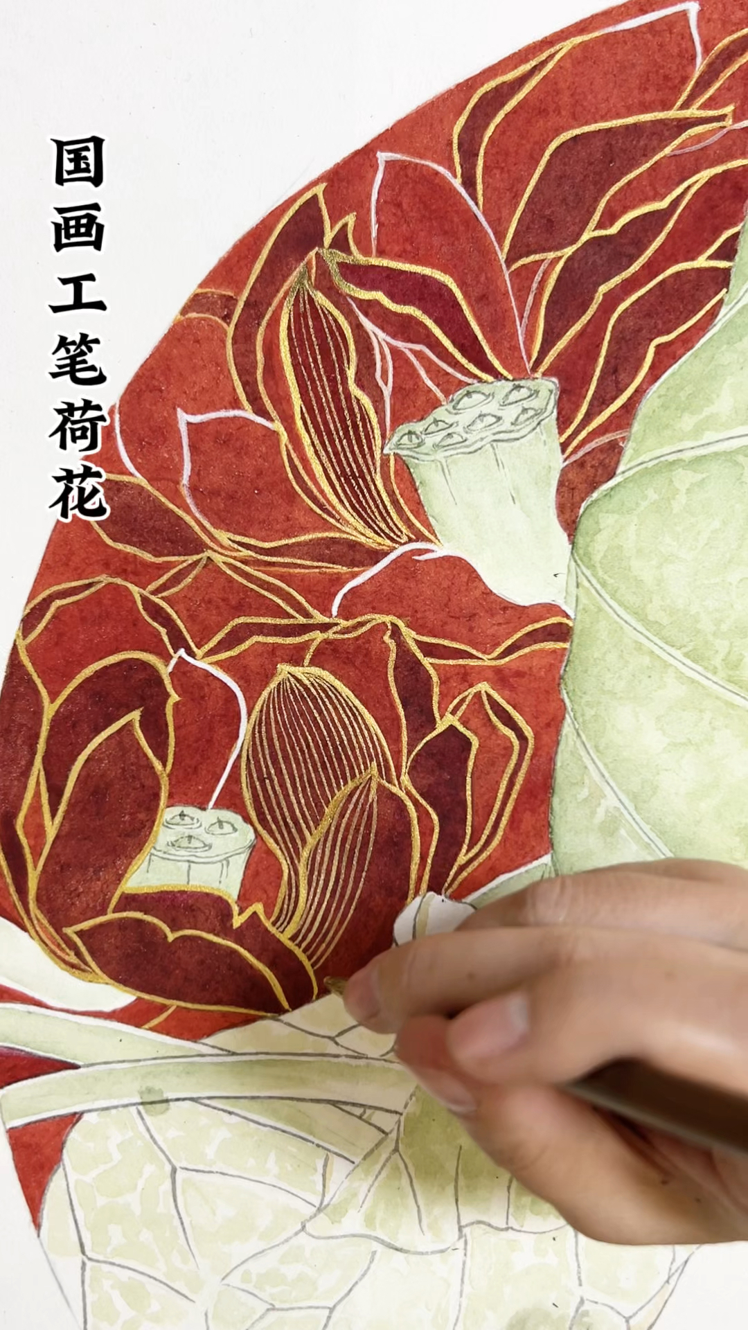 国画工笔重彩荷花
