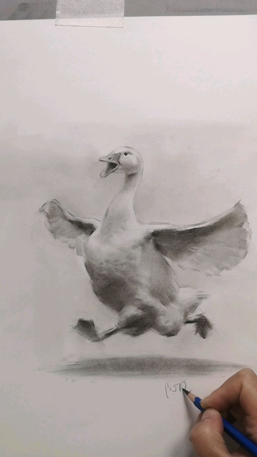 素描 快乐的大白鸭