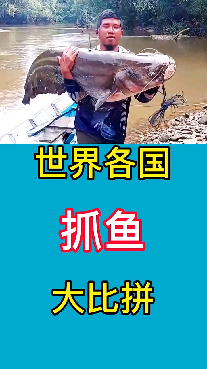 世界各国抓鱼大比拼,印度人最爱抓恒河的鱼,中国人最厉害