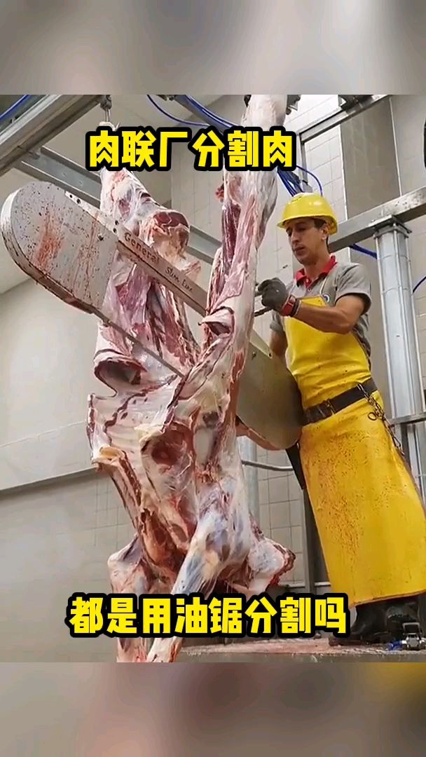 肉联厂分割肉,都是用油锯分割吗?