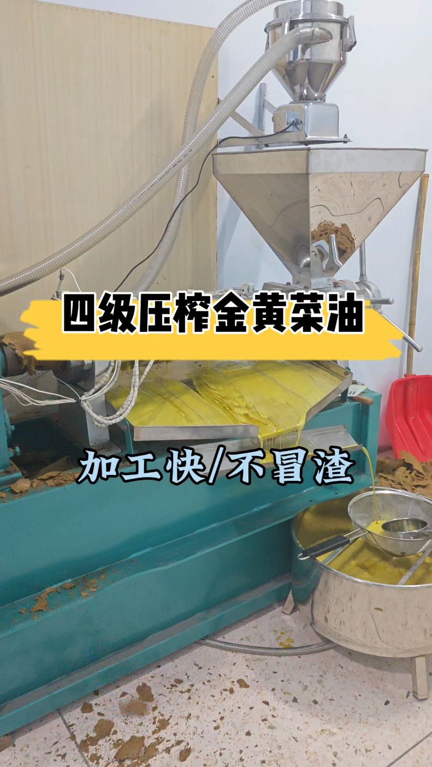四级压榨的螺旋榨油机不冒渣的榨菜籽油