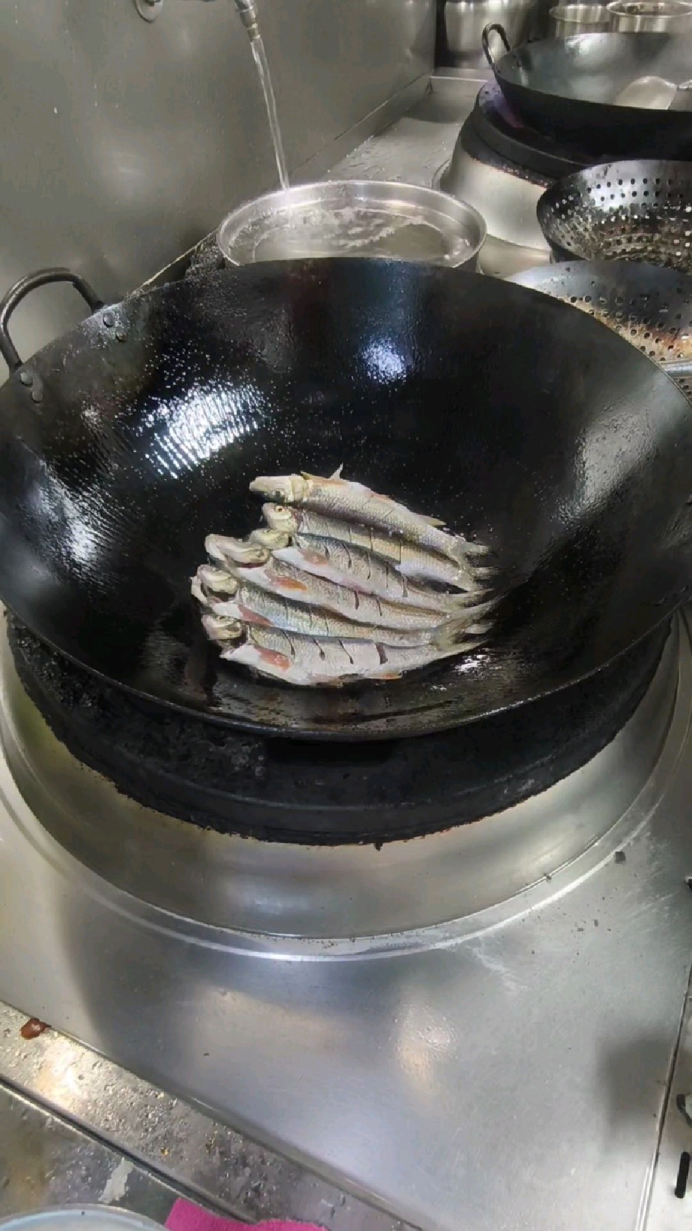 酱焖虫虫鱼教程 你们叫它什么名