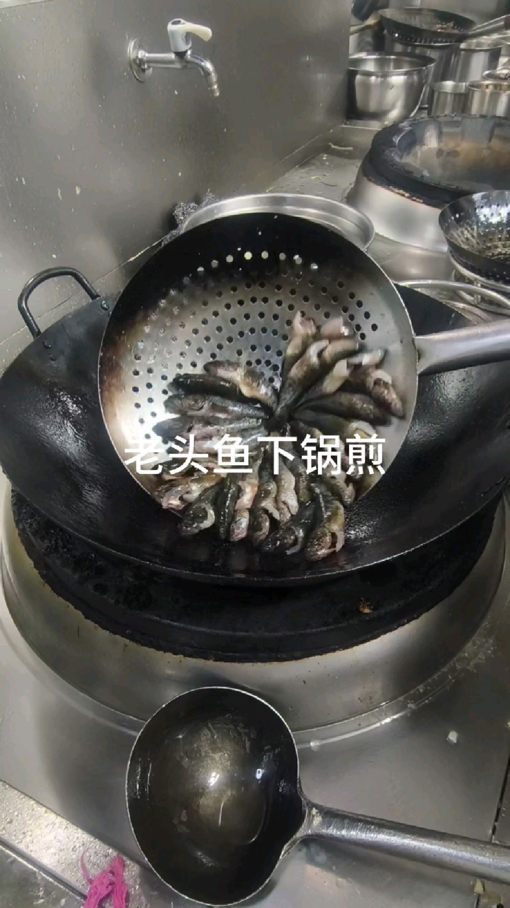 东北酱焖老头鱼。