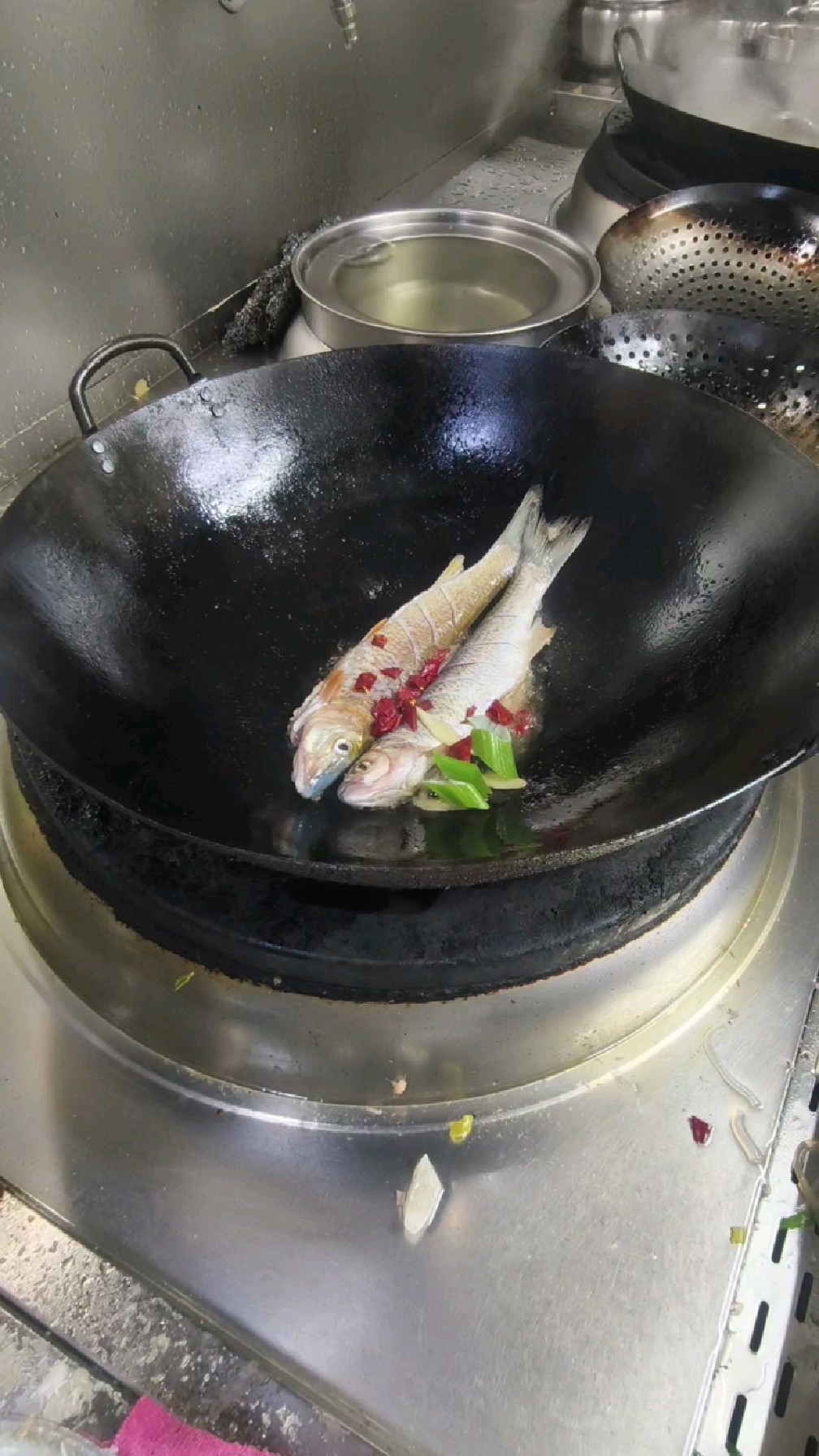 酒店里的酱焖虫虫鱼