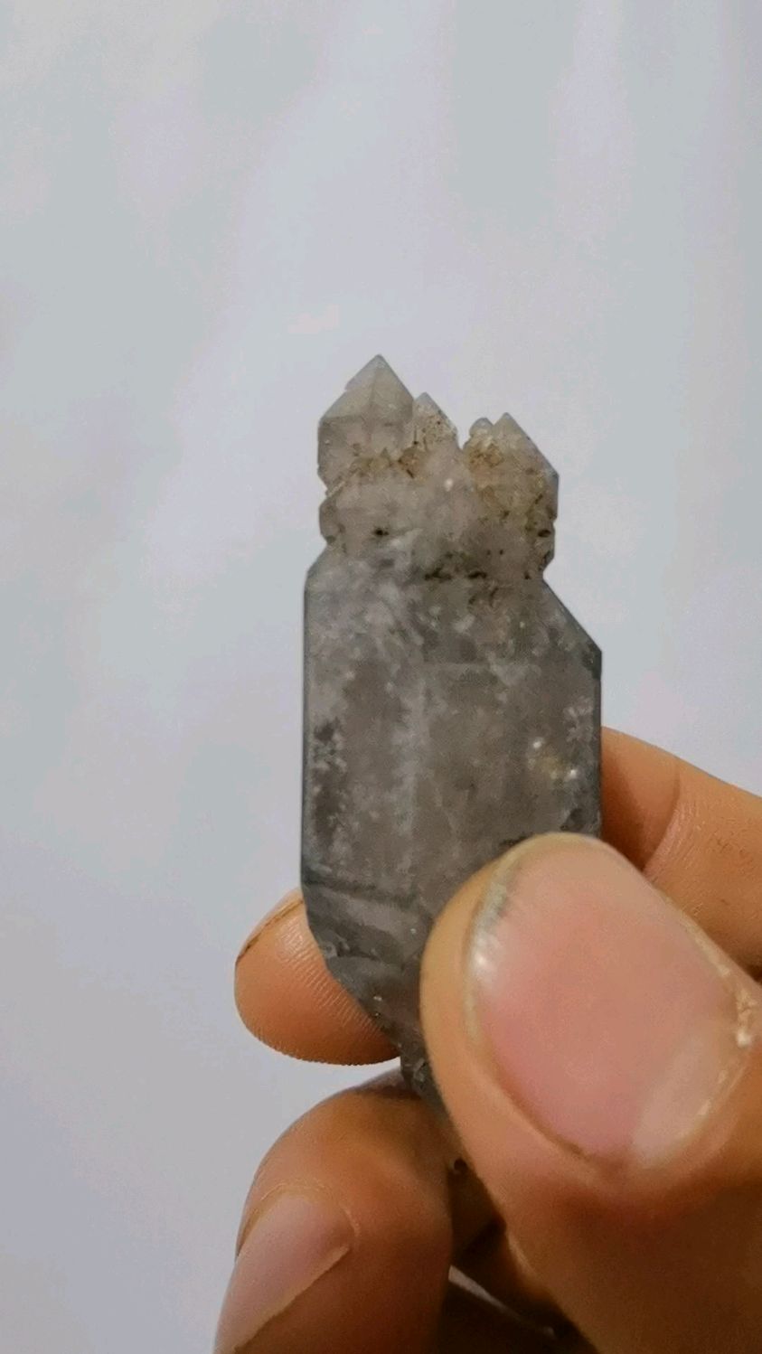 素描闪灵《小鱿鱼》