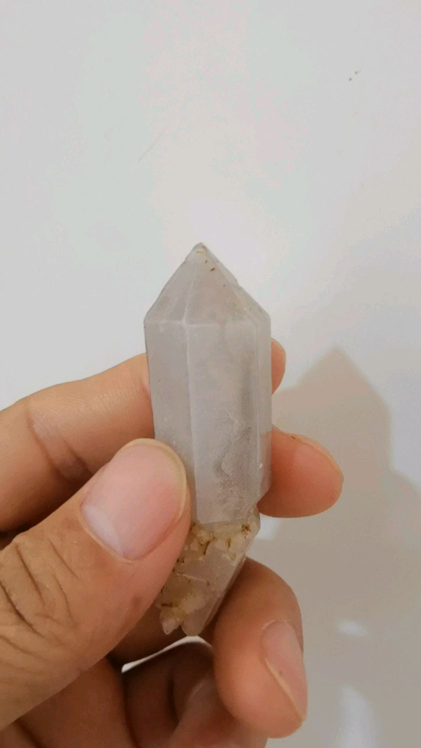 素描浅灰《小鲤鱼》