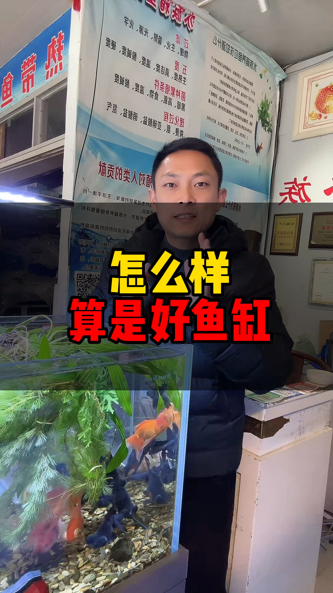 怎么样算是好鱼缸#福水族 #宁波鱼缸 #宁波古玩城