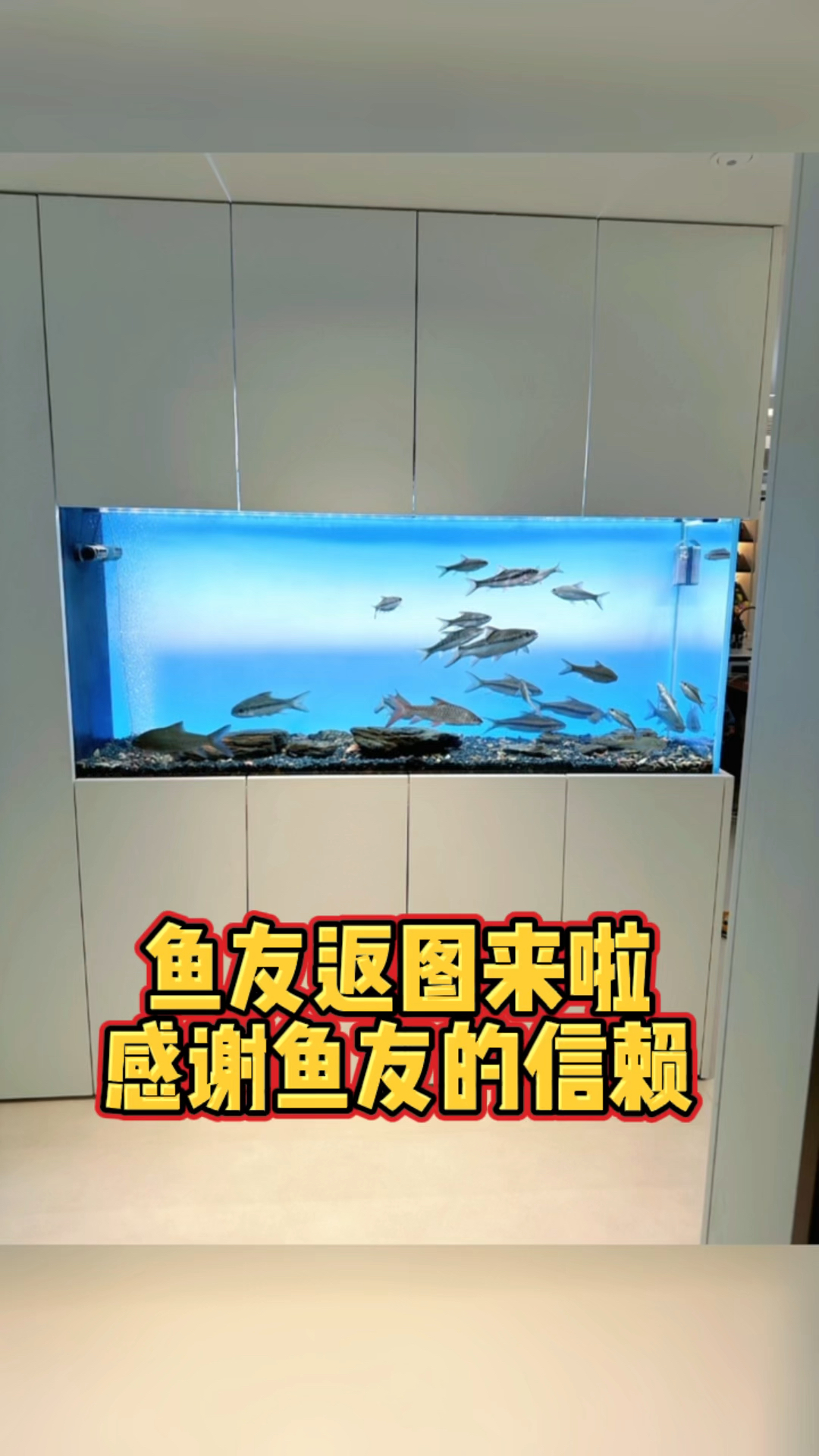 鱼友返图感谢鱼友的信赖客厅是家的门面客厅墙壁嵌入式鱼缸是客厅的亮被认可是一种幸福
