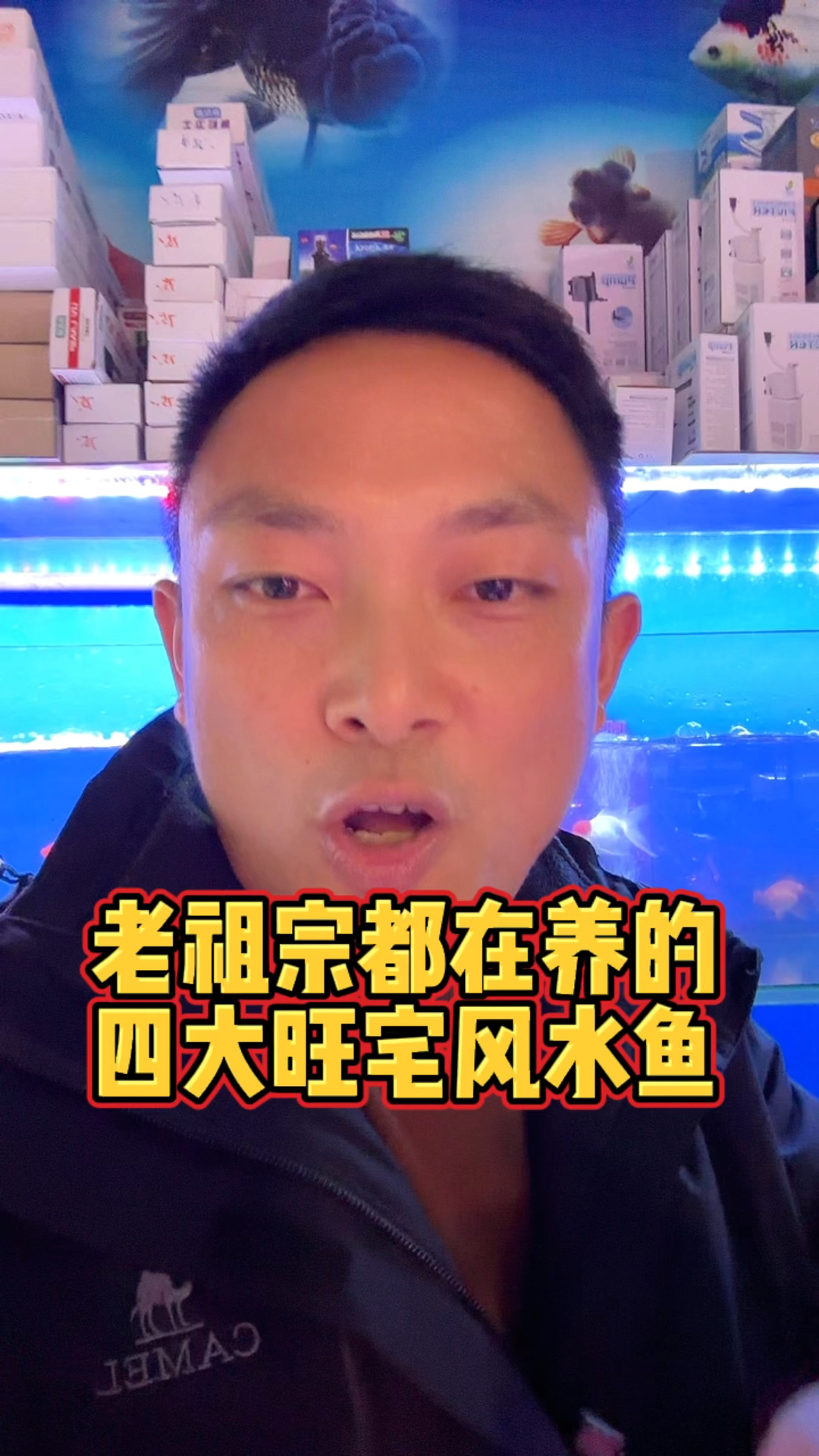 旺宅的四大风水鱼,养对了,财运滚滚来,好运挡都挡不住宁波福水族旺宅