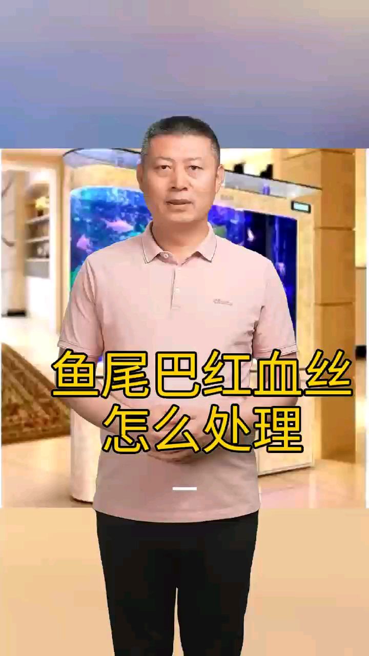 鱼尾巴红血丝怎么处理
