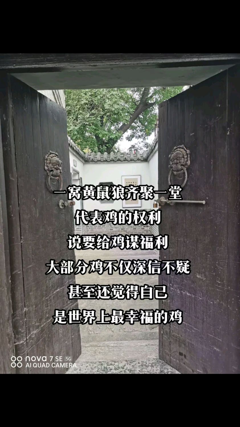 老祖宗留下的谚语:黄鼠狼给鸡拜年没安好心