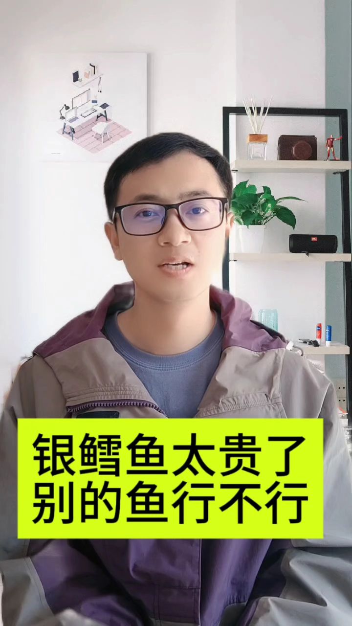 银鳕鱼的平替找到了