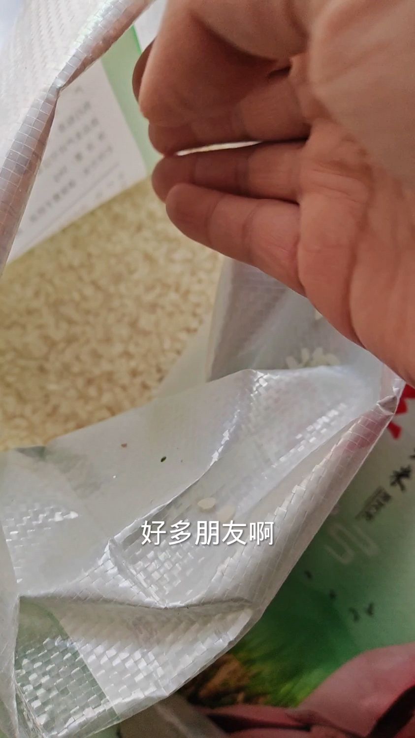 东北农村自家种的新水稻加工回来的新大米,煮粥煮饭绵软特别好吃