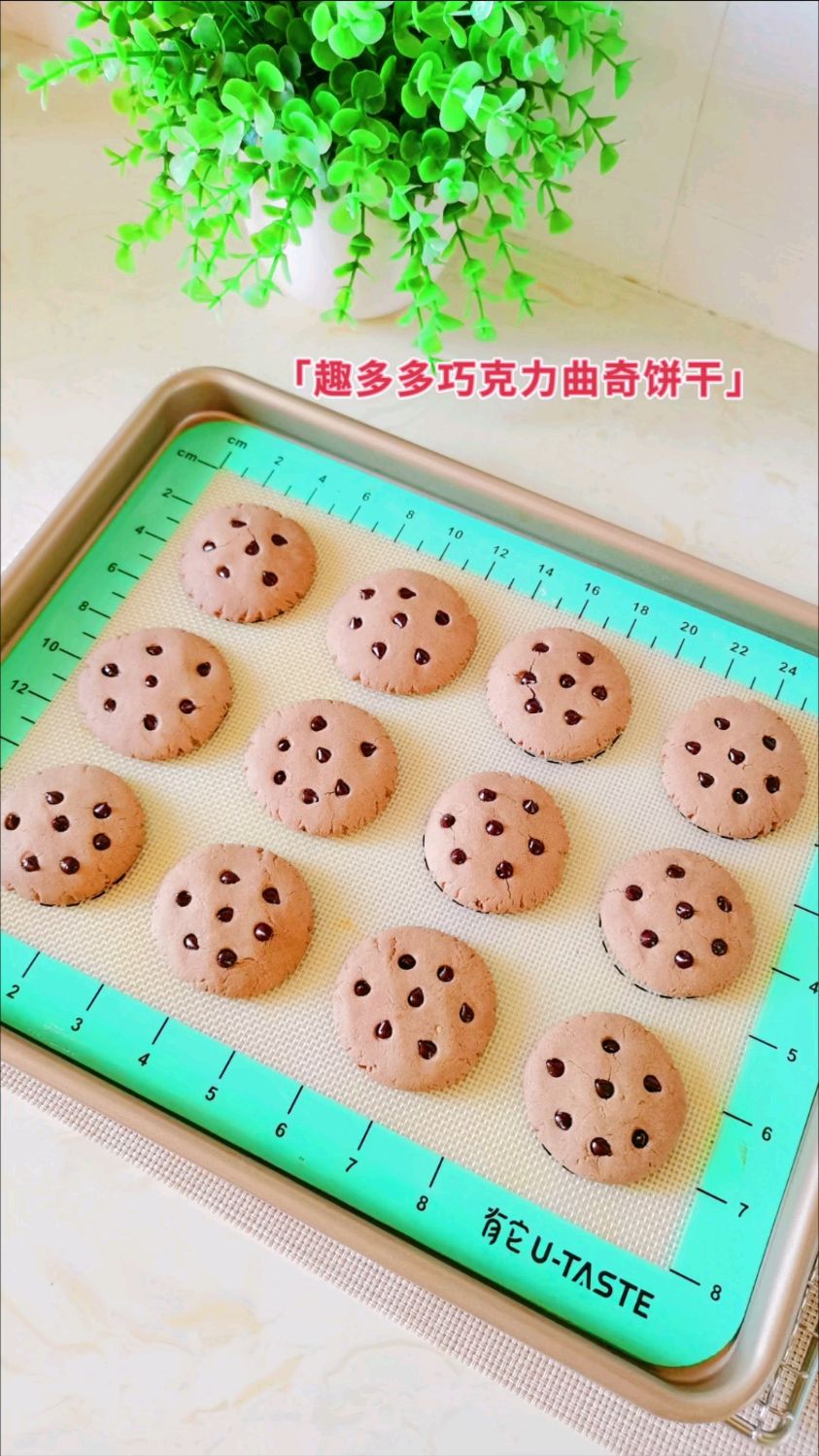 巧克力曲奇饼干,香浓的巧克力,加上酥酥的饼干体,简直太好吃了