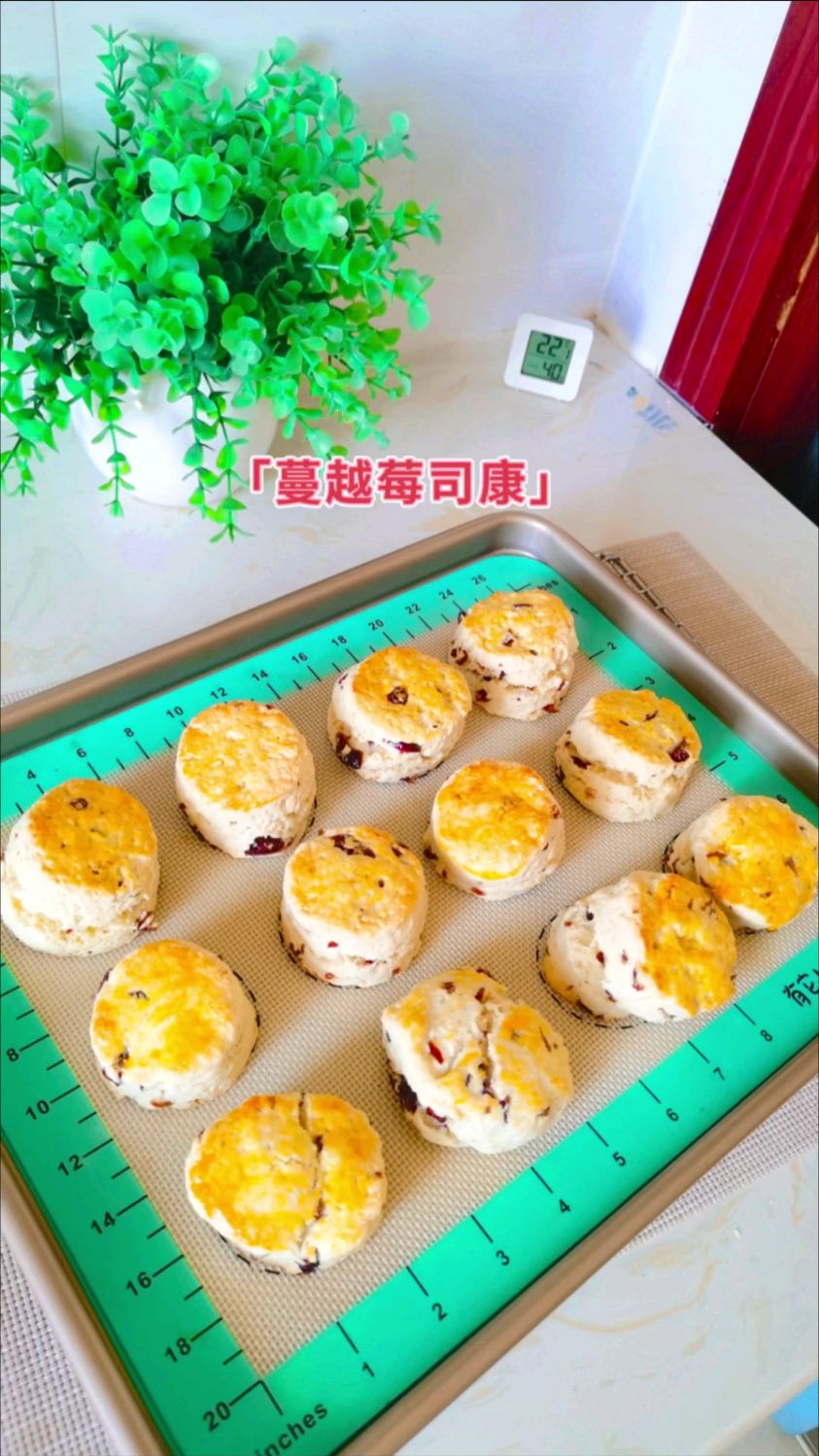 蔓越莓司康,口感酥软香甜,奶香浓郁,太好吃了!