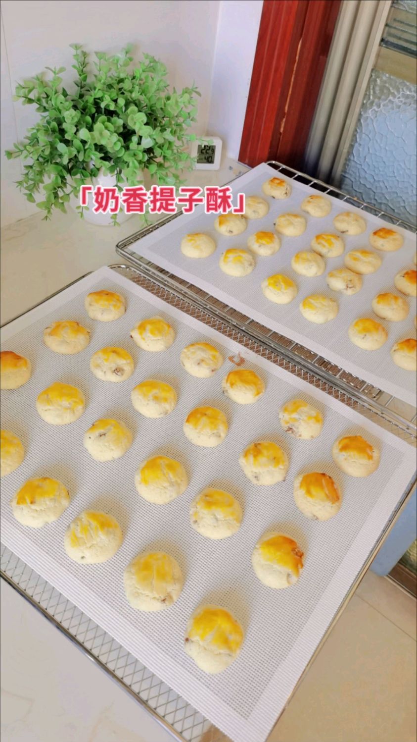 过年小零食第一弹～奶香提子酥,奶香浓郁,金黄诱人,简单易做。