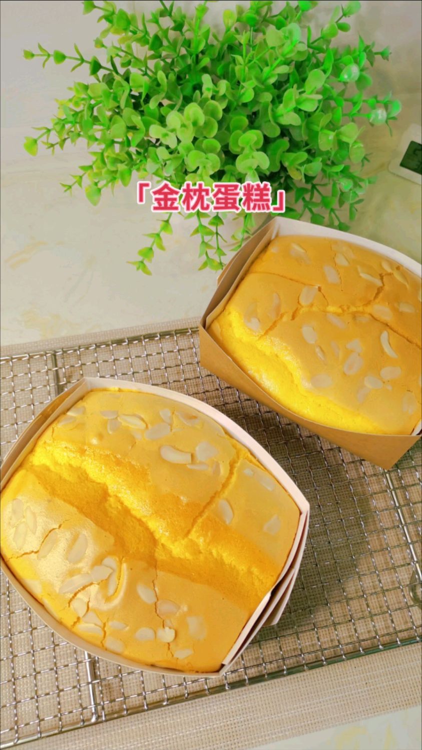 金枕蛋糕|又好看又好吃,做法超级简单