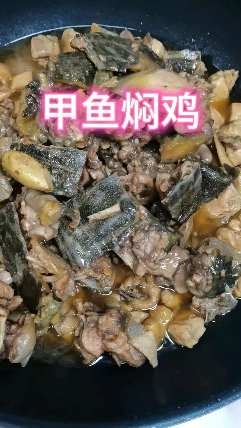 来一个甲鱼焖鸡做法
