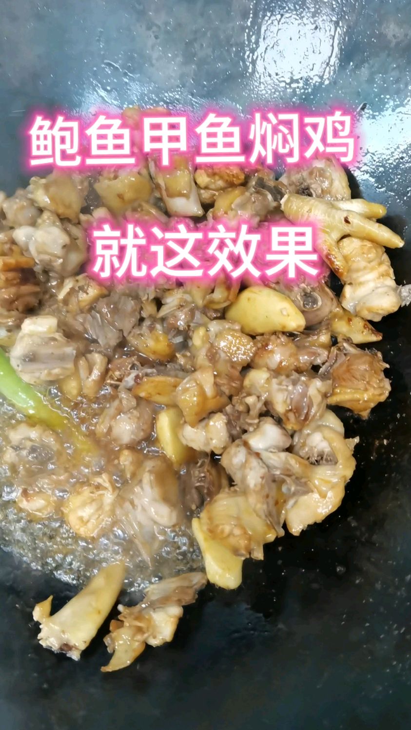鲍鱼甲鱼焖鸡就这效果