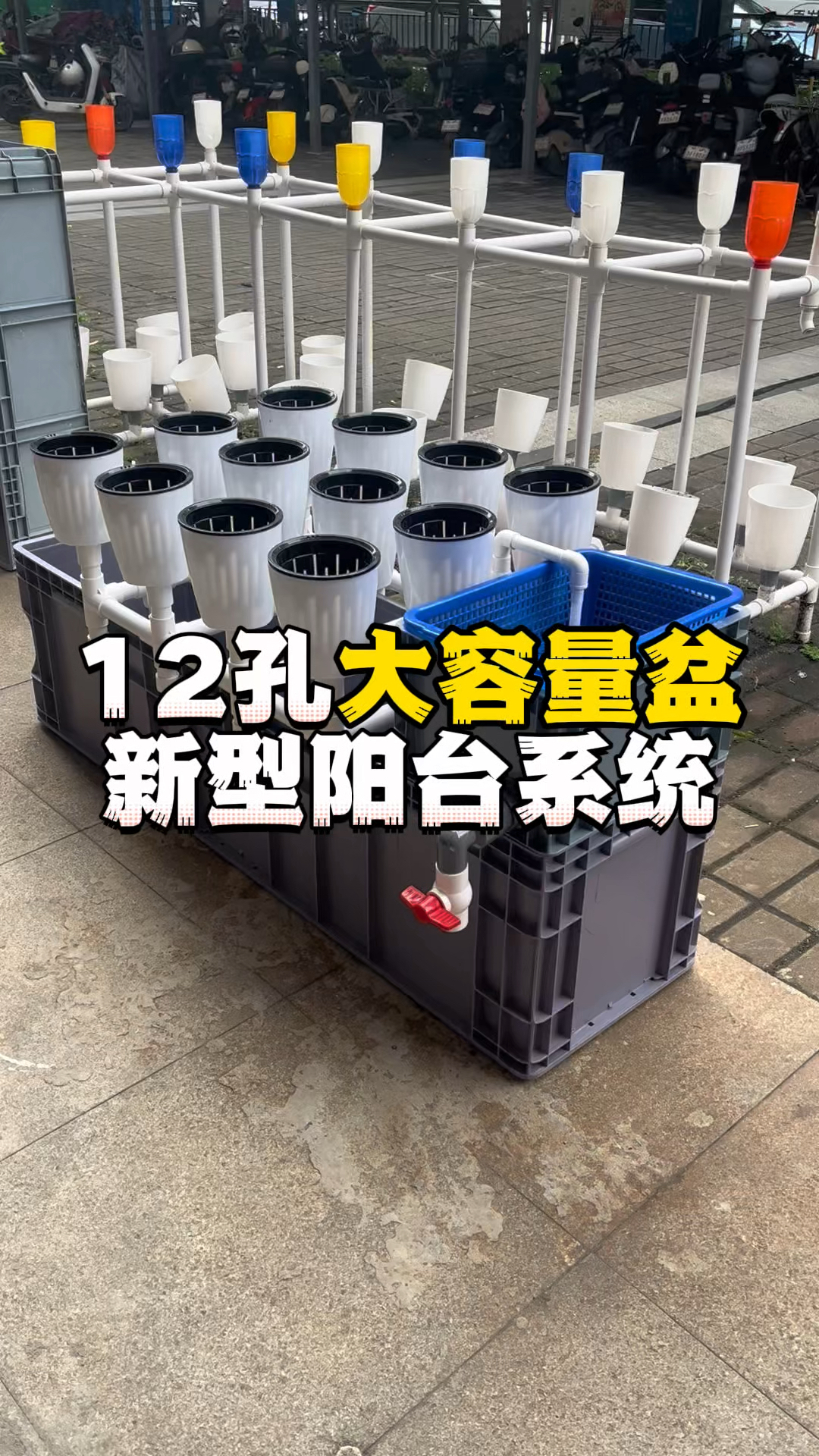 12孔大盆新型阳台鱼菜共生系统