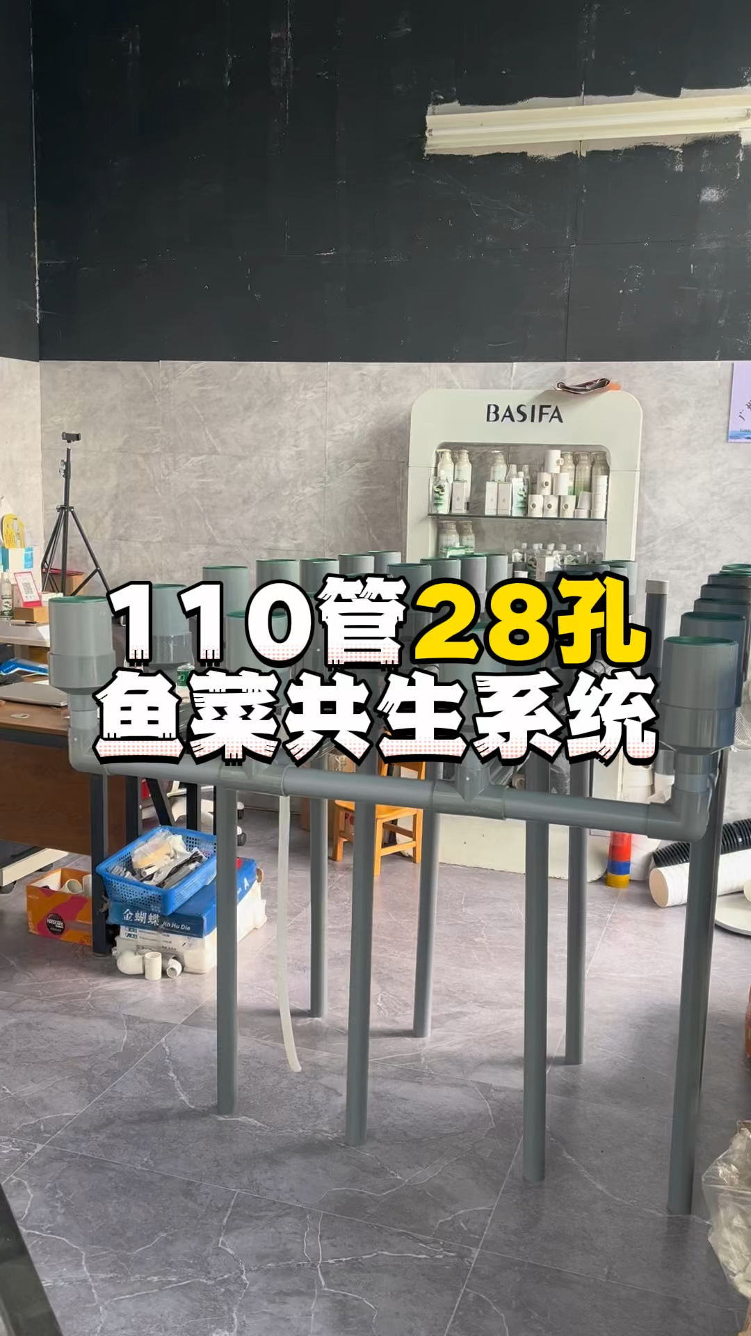 110管28孔鱼菜共生系统#鱼菜共生 #生态循环 #虹吸排水