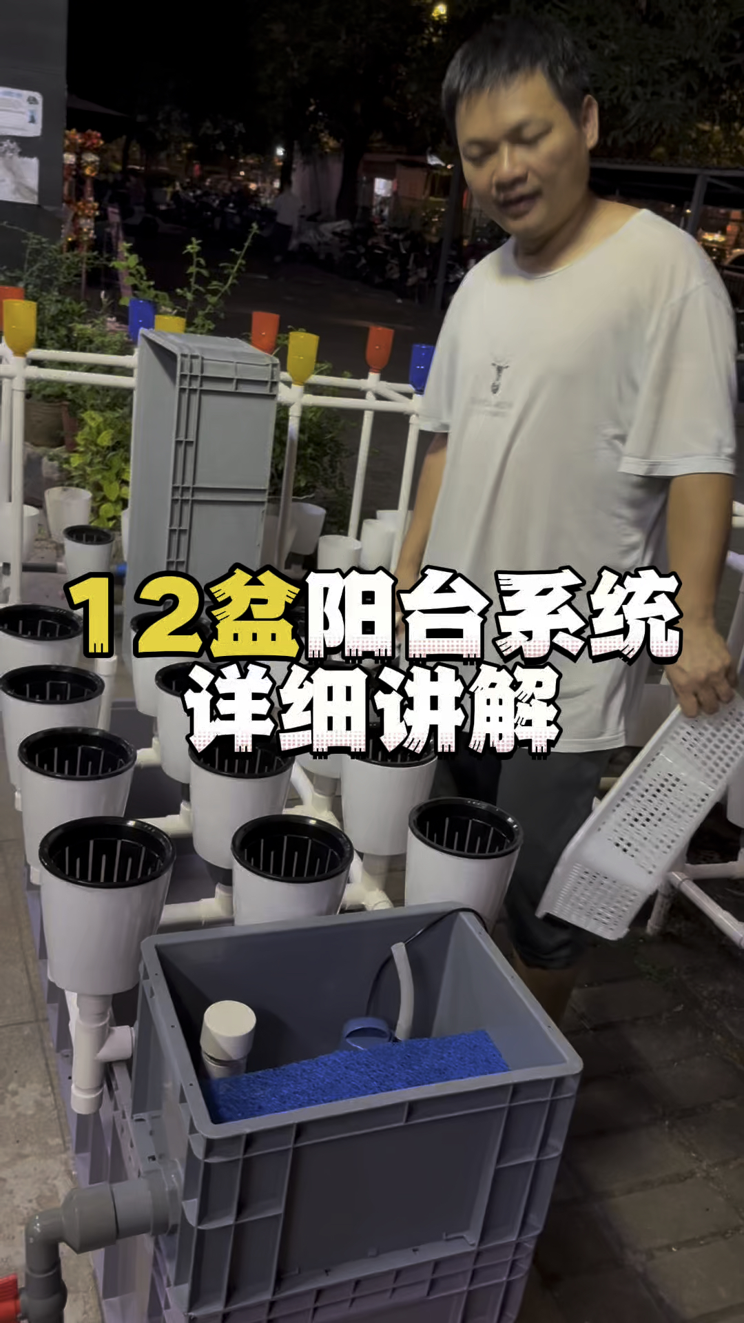 12盆阳台系统详细讲解#鱼菜共生 #种植小技巧 #虹吸排水 生态循环