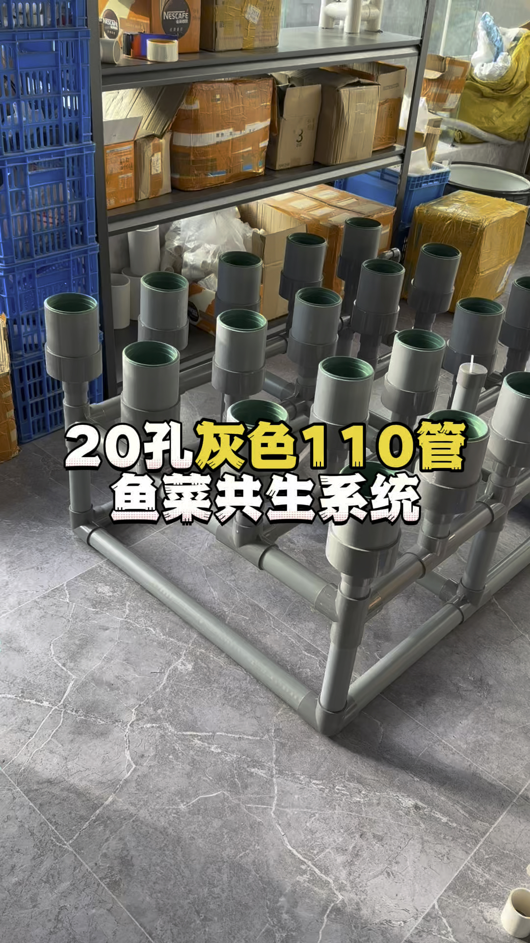 20孔灰色110管鱼菜共生系统#鱼菜共生 #智慧农业 #虹吸排水