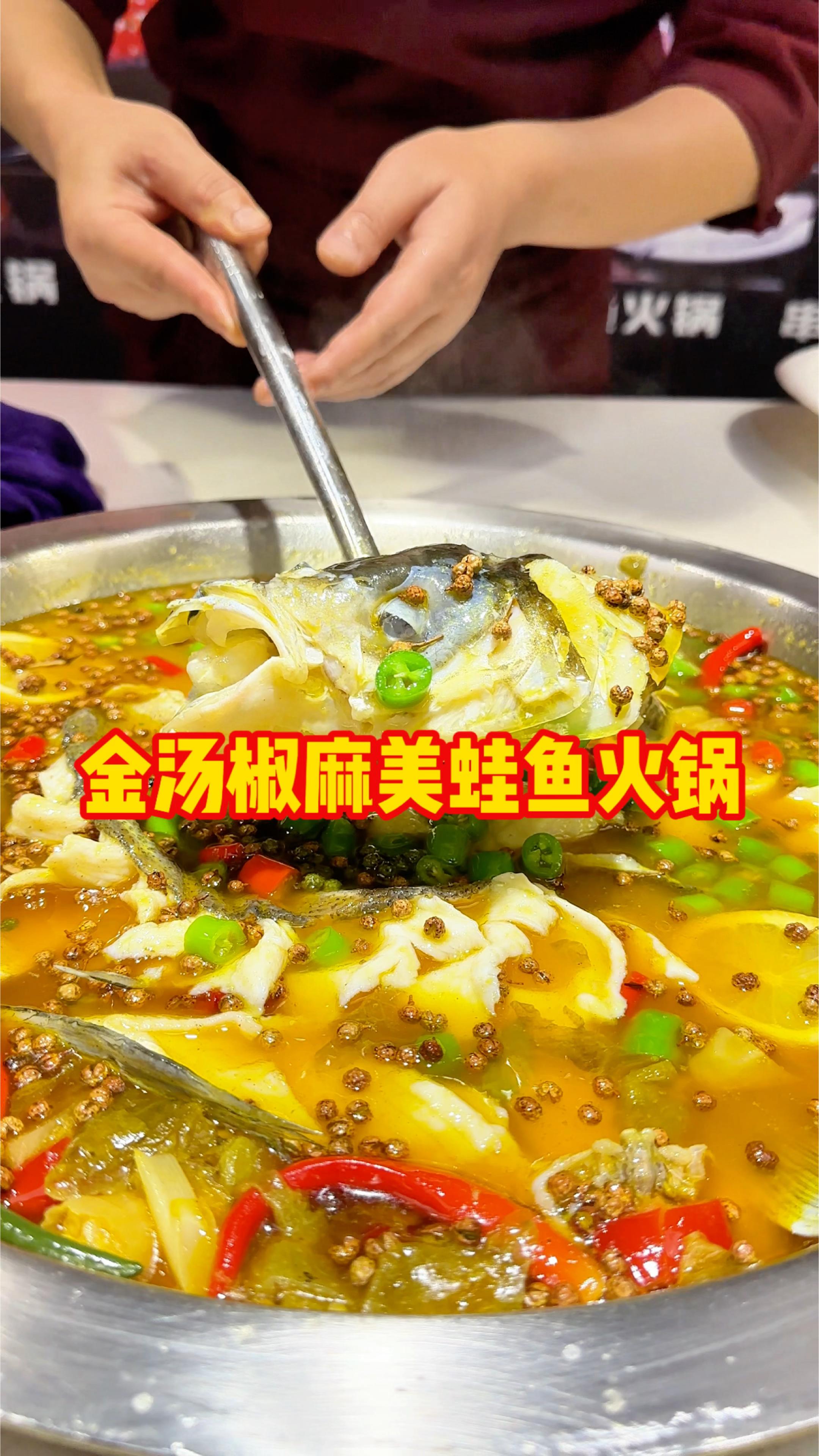 金汤椒麻鱼火锅,可以喝汤的鱼火锅!操作简单,味道稳定!