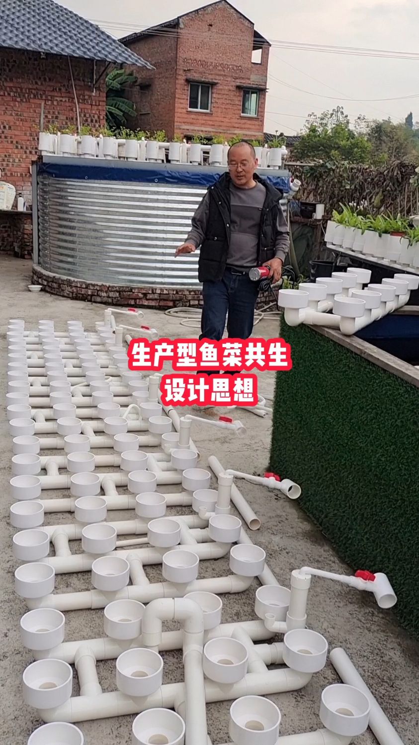 鱼菜共生管道潮汐循环系统可以应用于规模养殖
