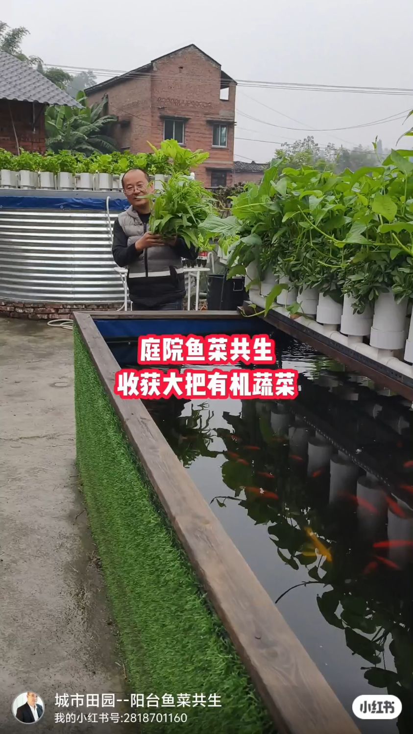 做鱼菜共生思想要开放和创新思维