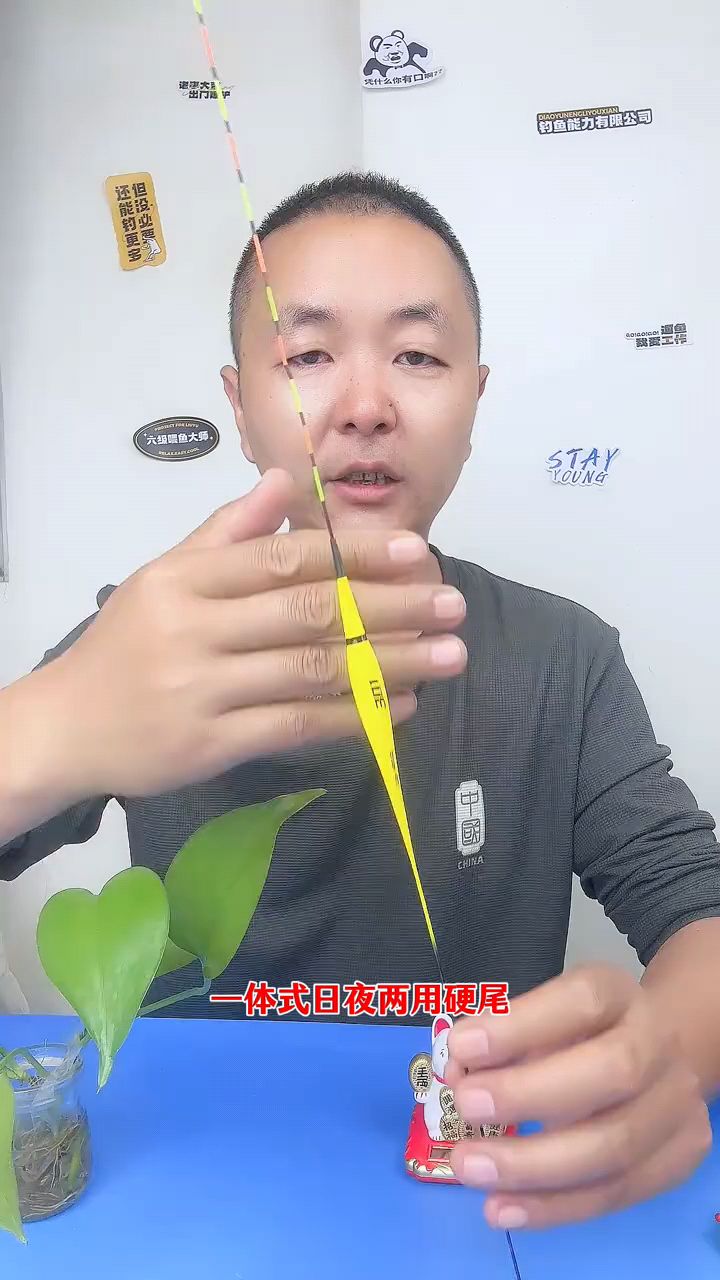 一体式硬尾夜光漂,夜钓亮度均匀,柔光不刺眼,看漂清晰醒目