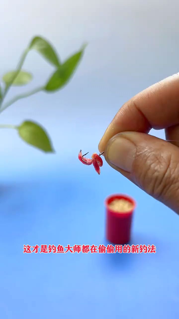 比蚯蚓还高五倍中鱼率的红蛆虫,蛋白含量相当高,实现动态诱鱼