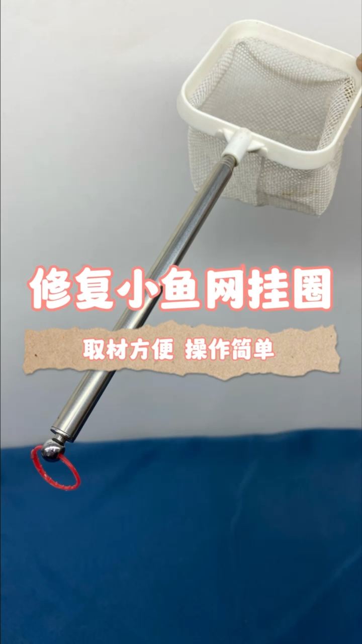 修复小鱼网挂圈。#养鱼#水族