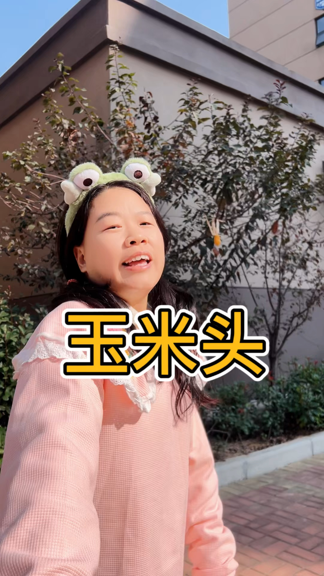 原来爆米花是玉米籽做出来的呀,好神奇呢