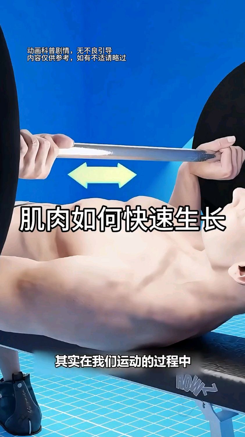 你知道肌肉是如何快速生长的吗