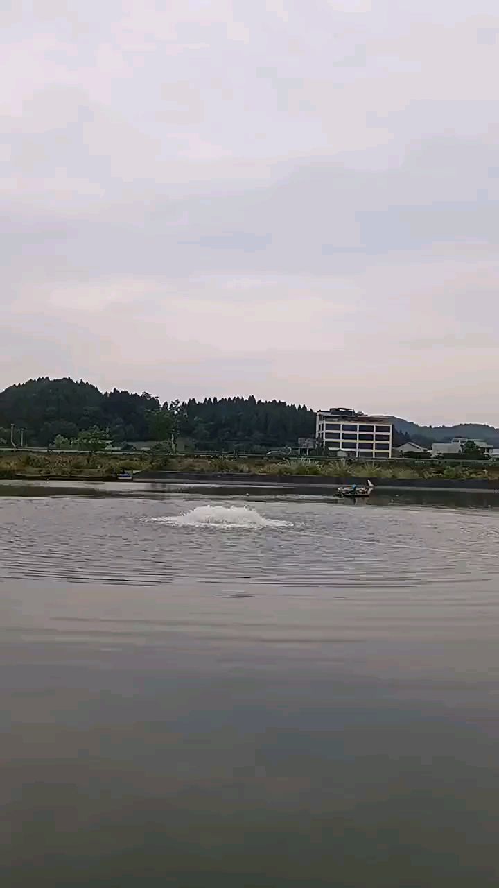 三相2.2千瓦永磁变频鱼塘增氧机大功率养殖虾蟹池塘叶轮式氧气泵