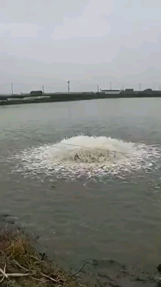 380V永磁变频鱼塘增氧机养殖叶轮式增氧泵大型220伏池塘制氧泵