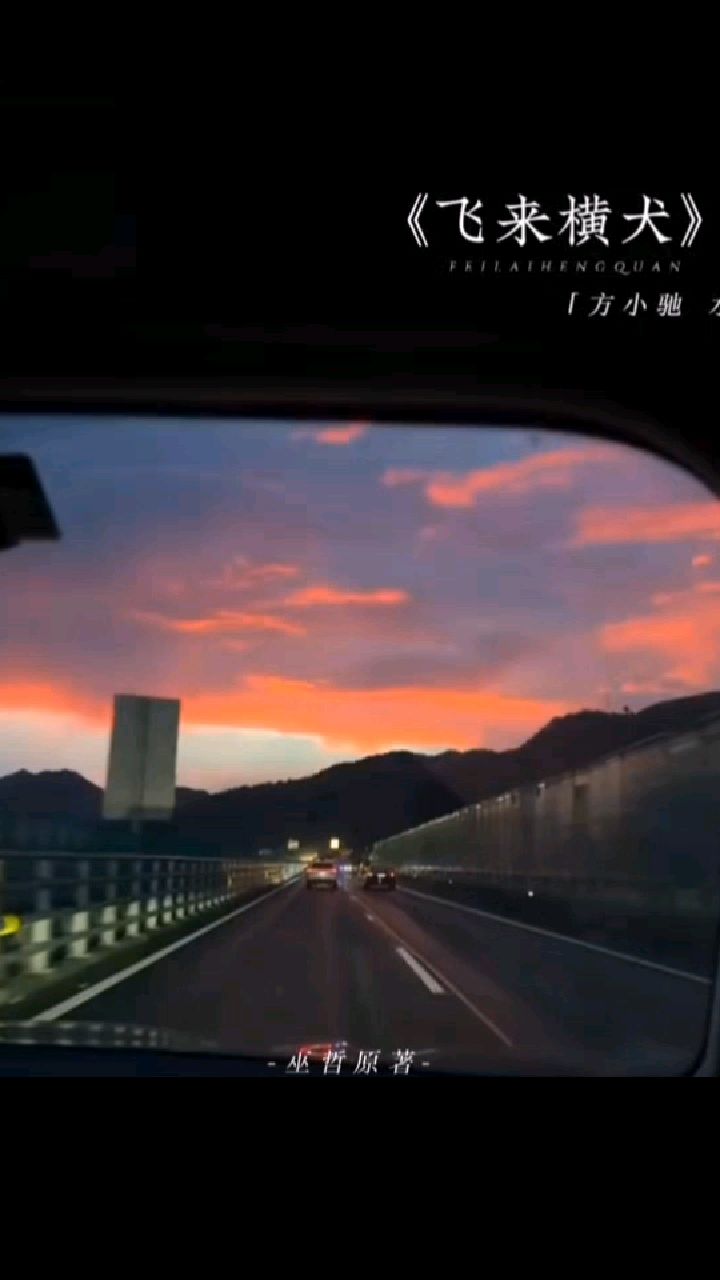 《飞来横犬》“你是不是不想回家?”