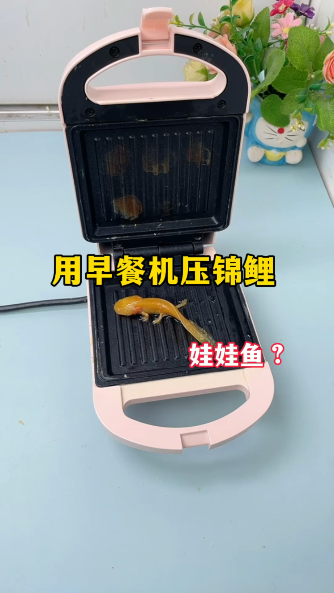 用早餐机压锦鲤!