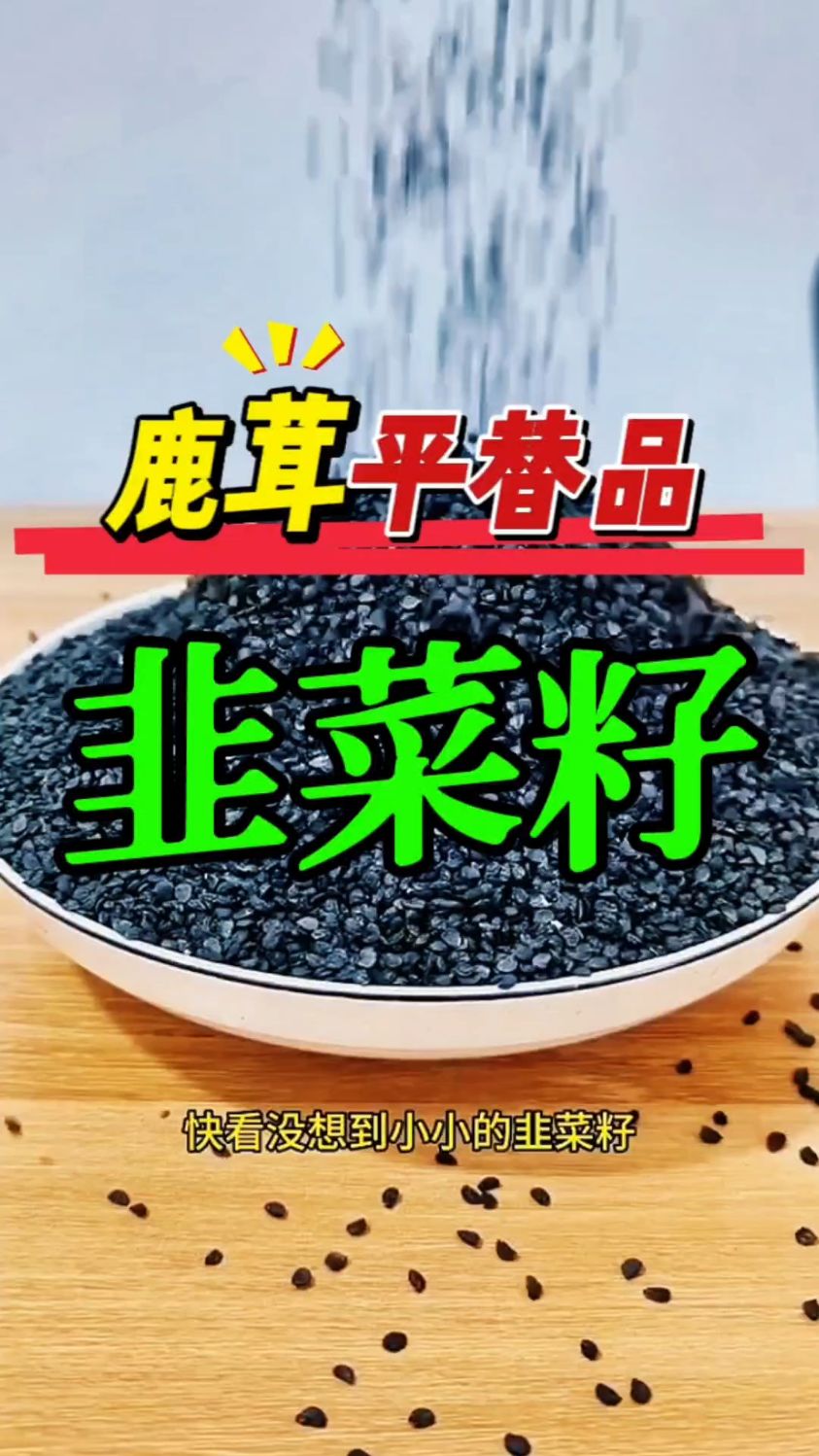 韭菜籽又名“起阳草”