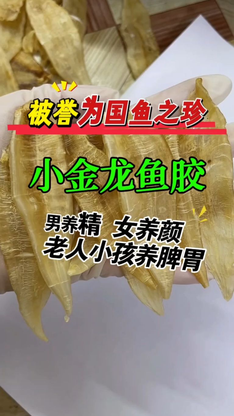 被誉为国鱼之珍的小金龙鱼胶你吃过吗?