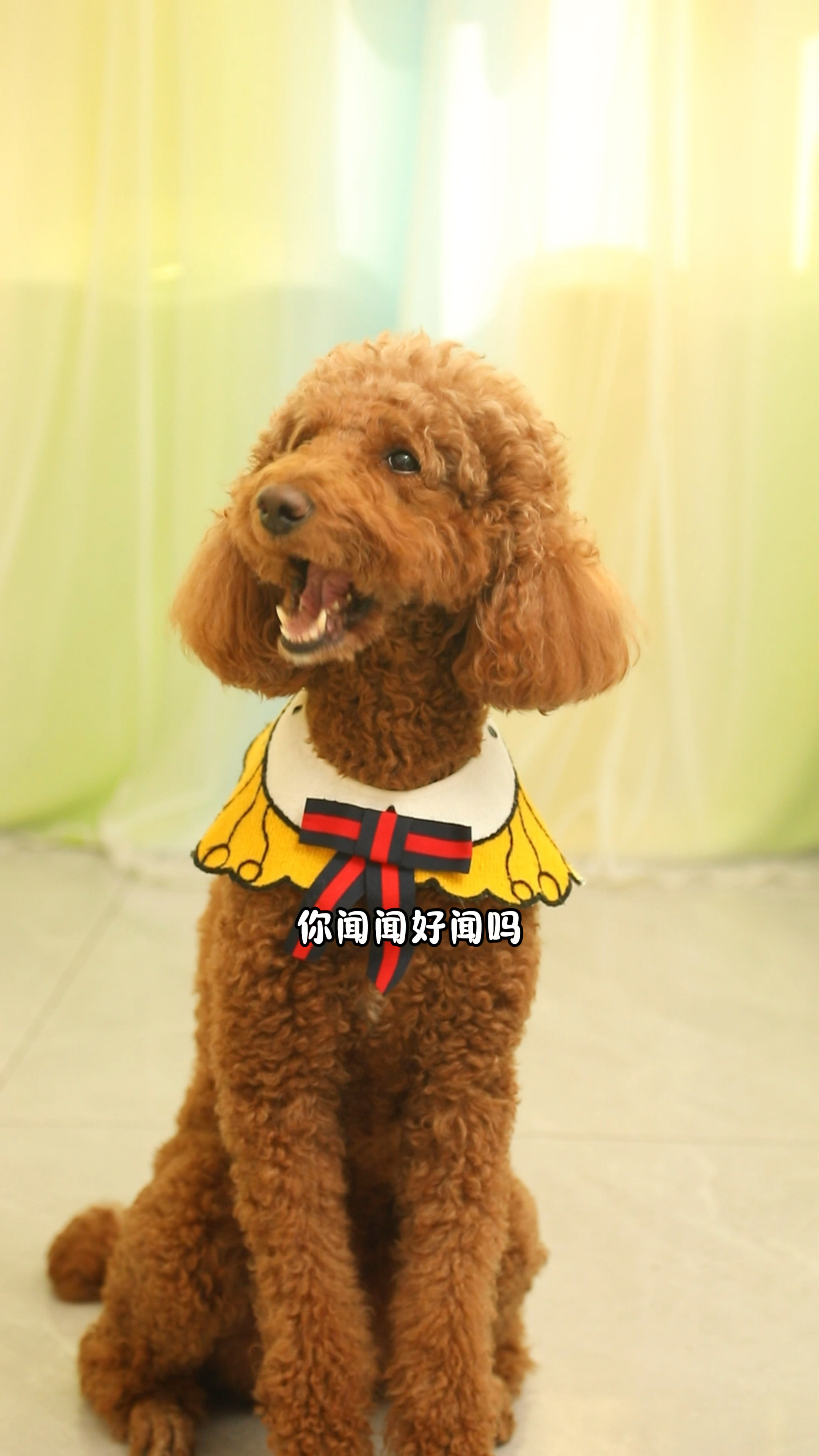 奶茶妈妈居然是傻子