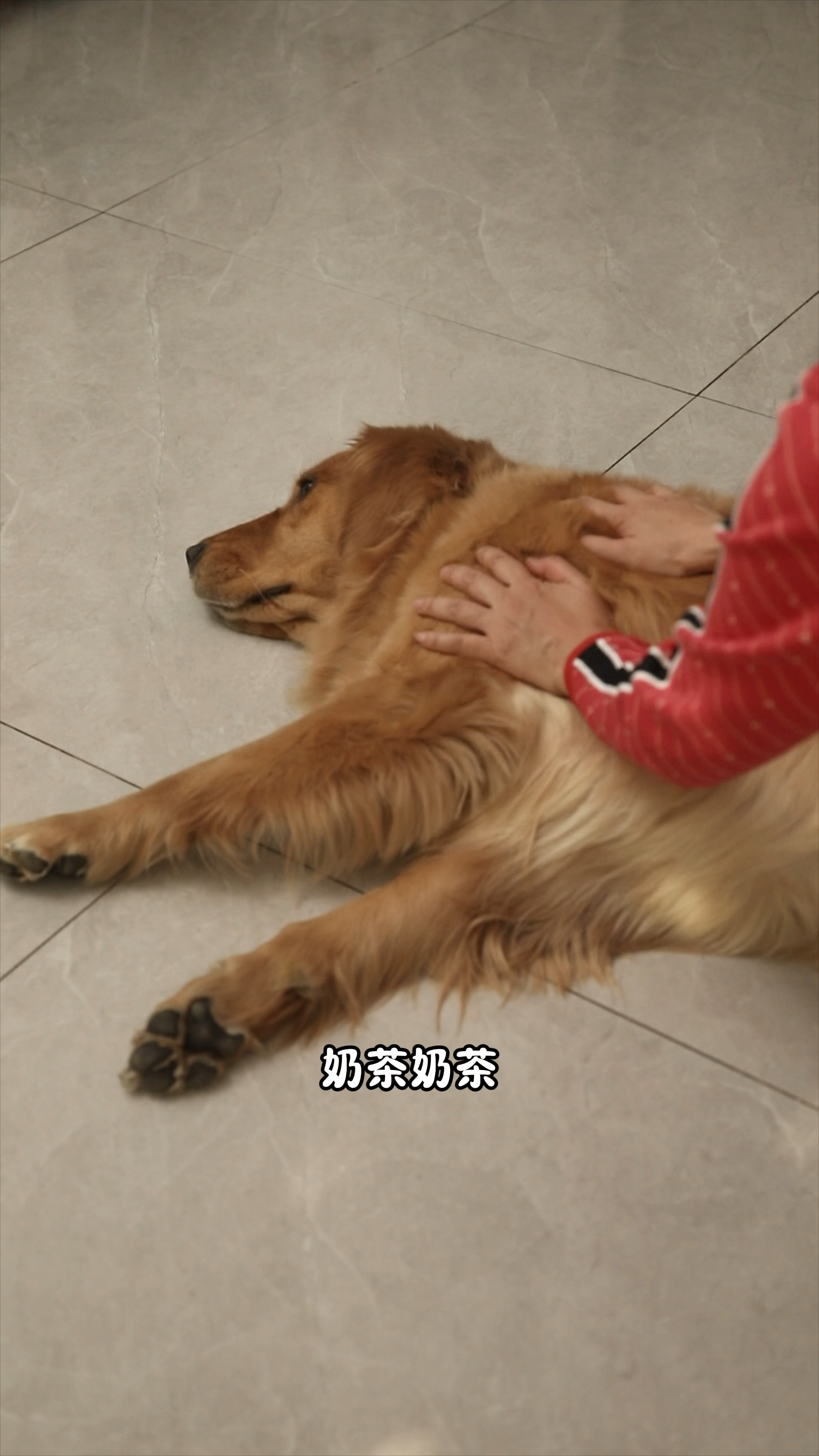 原来奶茶真的病了