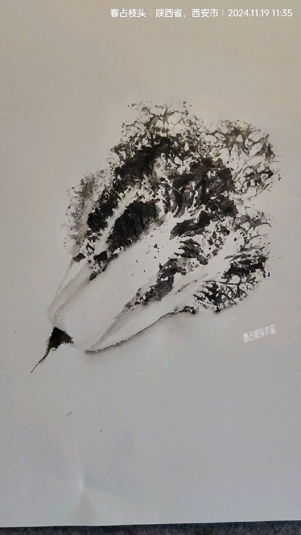 用白菜画白菜,一起学画画!