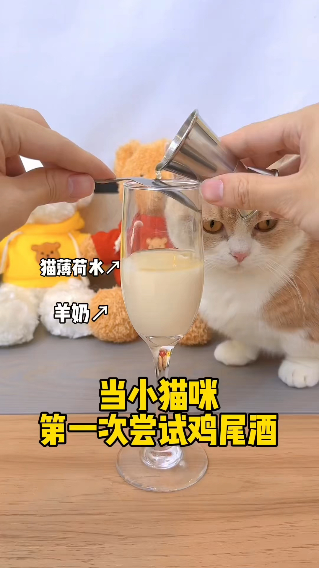 给小猫咪调杯鸡尾酒